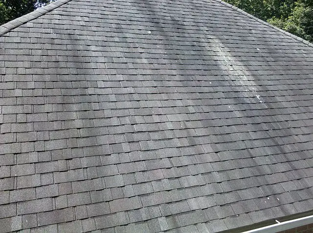 Black Streaks Roof Issues